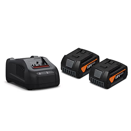 Image of FEIN 92604246240 AMPSHARE 18V 2 X 5.0 AH BATTERIES & 1 X GAL 1880 CV CHARGER