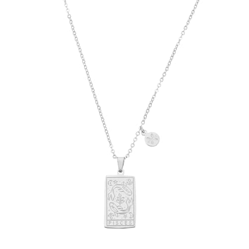 Image of sourcing map Tarot Zodiac Sign Necklace, Titanium Steel Tarot Card Pisces Necklaces for Women Men, Silver