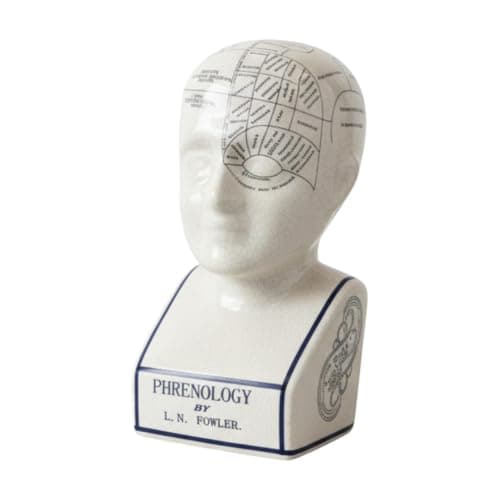 Image of AcaciaHome 12'' L.N. Fowler Phrenology Ceramic Head – Antique Crackle-Glaze Porcelain, Educational & Decorative Medical Collectable, Perfect for Students, Collectors & Historical Display