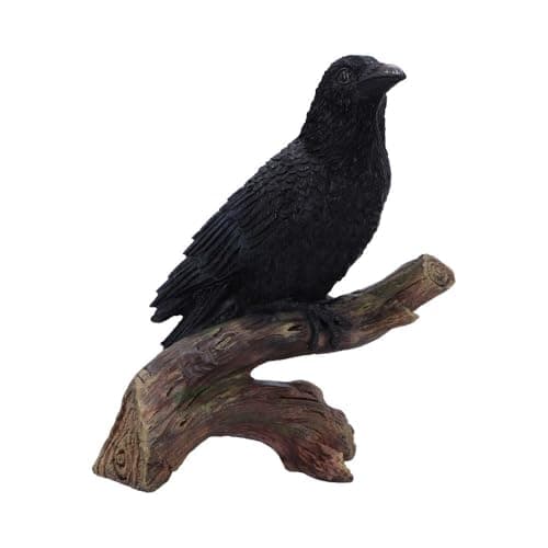 Image of Nemesis Now Ravens Perch Figurine – Black Raven on Tree Branch Resin Statue for Gothic, Witchcraft, and Halloween Decor, 20 cm Tall