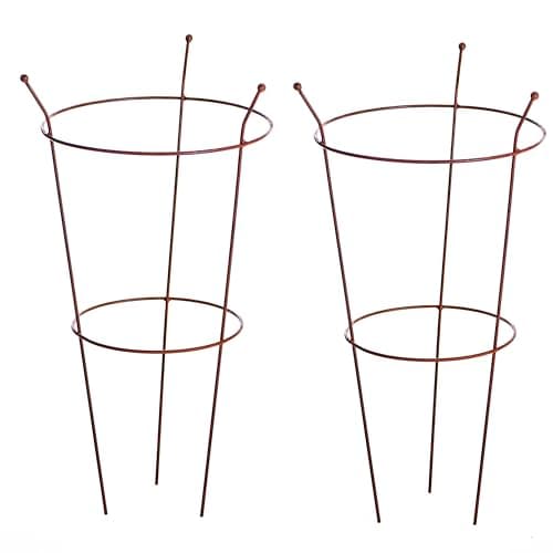 Image of Small Medium Peony Frame Outdoor Heavy Duty Herbaceous Garden Plant Support Ring for Perennial Flowers Border Cage 54cm x 40cm (2 x Frame Rust)
