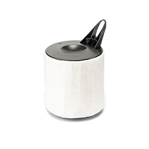 Image of UFI Air Filter