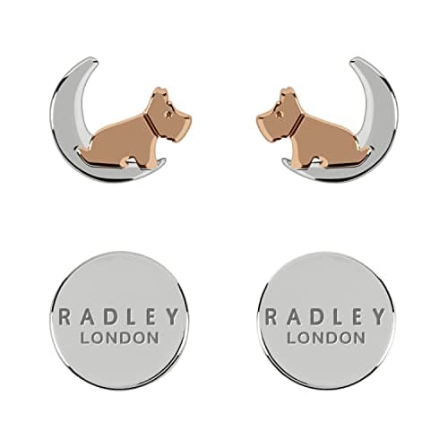 Image of Radley Women's 18ct Silver and Rose Gold Plated Moon & Stars Earrings RYJ1211S