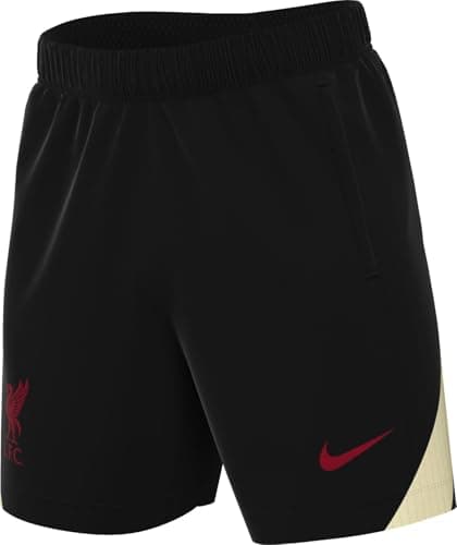 Image of Nike Liverpool FC Strike Special Edition Football Shorts Mens HJ1980