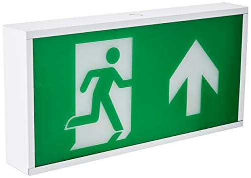 Image of Knightsbridge LED Emergency Lighting, metal, 6 W, White, EMRUN