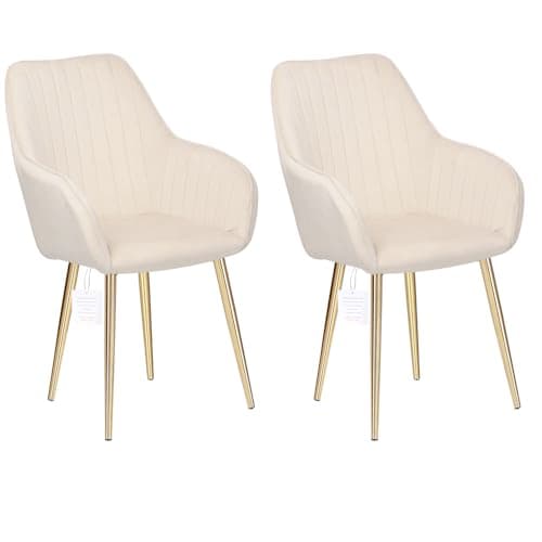 Image of HYGRAD® Set of 2 Velvet Dining Chairs With Gold Legs - Soft Padded Chairs For Home, Restaurant, Cafe, Office (Cream)