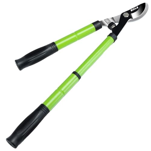 Image of AIRAJ 43-60cm Telescopic Bypass Tree Loppers, Extendable & Extending Garden Loppers with SK5 High Carbon Steel Blades, 3.5cm Cutting Diameter for Dry & Wet Branches, Shrub & Tree Pruning