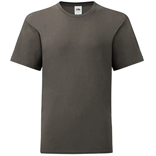 Image of Fruit of the Loom Childrens/Kids Iconic T-Shirt (5-6 Years) (Light Graphite Grey)