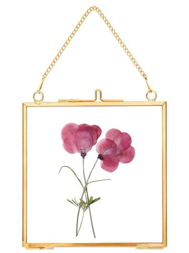 Image of REDHUGO Glass Pressed Flower Frames,Vintage Hanging Picture Frames with Chain,Handmade Brass Floating Picture Frame,Plant Specimen Wall Ornament Display Artwork DIY Family Photo,Square,Gold