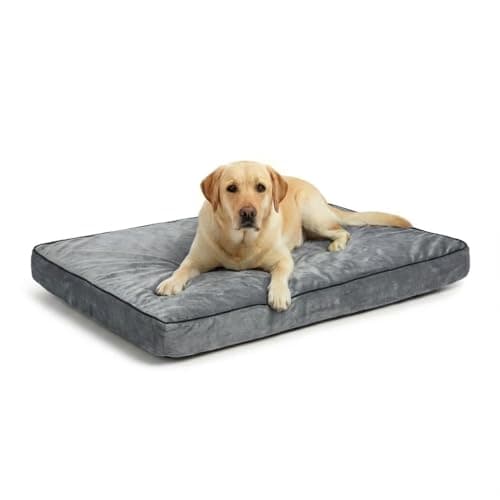 Image of MH Home Dog Bed With Removeable Washable Cover, Pet Cat Beds Cushion Mattress, Soft Warm Dog Mat Pad For Dogs (Large 75 x 100 cm, Oslo)
