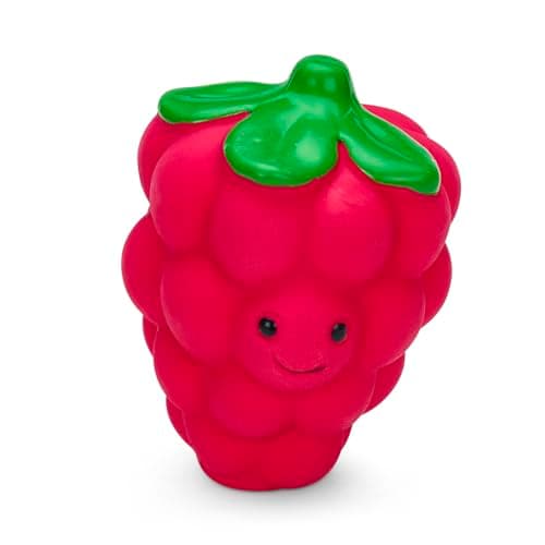 Image of Petface Foodie Faces Latex Raspberry Dog Toy with Built in Squeaker, Small (Pack of 1)