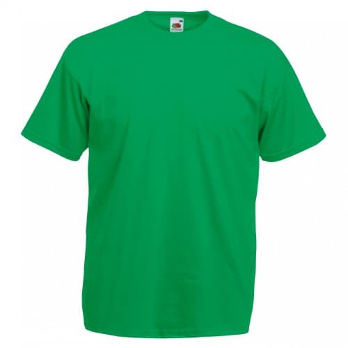 Image of Fruit of the Loom Mens Valueweight Short Sleeve T-Shirt (2XL) (Kelly Green)
