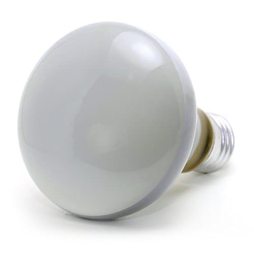Image of 5 x R80 Reflector Bulbs (Spot Light) 60 Watt Edison Screw E27 Cap Diffused 220 - 240 Volt