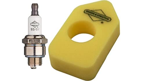 Image of Genuine Briggs & Stratton Air Filter & Spark Plug Set for B&S Sprint Classic (Filter & Spark Plug Set)