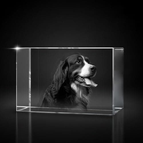 Image of Giftic 3d Laser Engraved Classic Rectangle Crystal Custom Photo Print, Personalised Gifts for her/him, dad/mom, Anniversary Couples Gifts (Wide, Medium: 10x6x6cm, Glass Crystal)