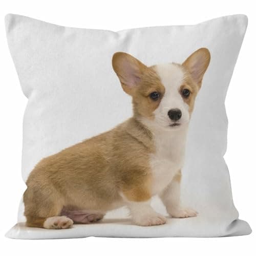 Image of Nimvoya Linen Pillow Covers Zippered King Cushion Covers Chaise 50x50cm, Dog Couch Pillow Covers Retro Cushion Covers Printed Living Room Sofa Decor 1Pcs