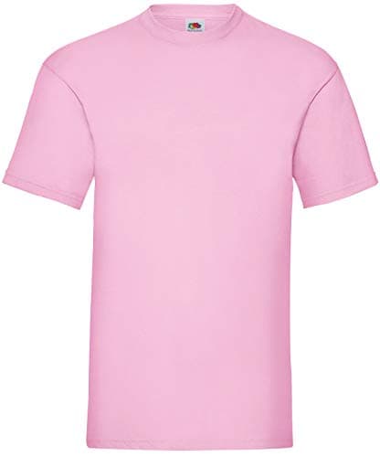 Image of Fruit of The Loom Mens Valueweight Short Sleeve T-Shirt (XL) (Light Pink)