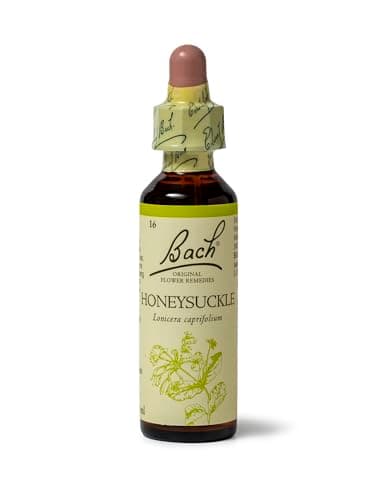 Image of Bach Original Flower Remedies Honeysuckle, Live The Day, Embrace The Now, Emotional Wellness, Natural Flower Essence, 20ml