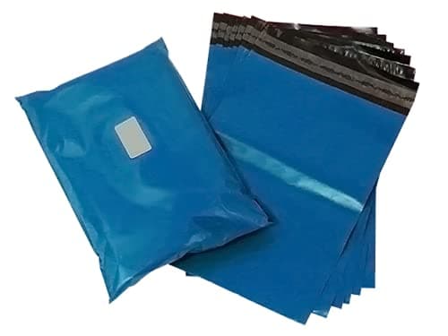 Image of GoSecure Flat Mailing Pouch 286x336mm Blue CVF1+ Free finchley Refill Pen (1)