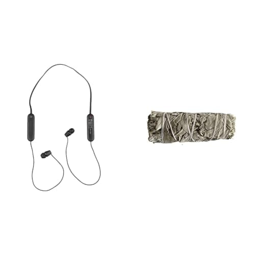 Image of Sony WI-C100 Wireless In-ear Headphones - Up to 25 hours of battery life - Water resistant -Built-in mic for phone calls - Reliable Bluetooth® connection - Black & White Sage 4"