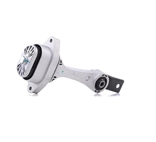Image of REINHOCH RH11-0111 Rear Engine Mount