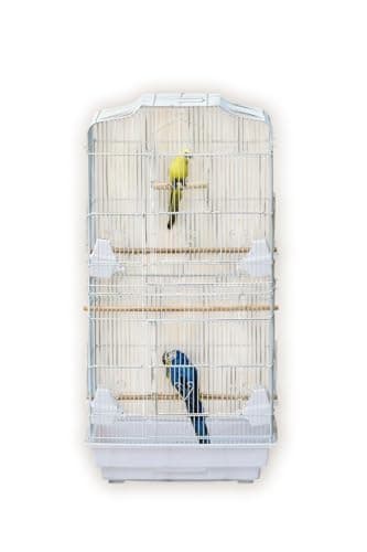 Image of 37" Rooftop Metal Large Bird Parrot Cage Carrier For Canary Budgie Cockatiel In Black & White for Mid-Sized Cockatiel Sun Parakeet Green Cheek Conure (White)