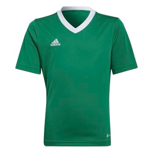 Image of adidas Unisex Kids Entrada 22 Jersey, Team Green / White, 15-16 Years