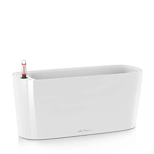 Image of LECHUZA Self Watering Plant Pot Indoor DELTA 20 Plastic Flower Window Box Small Herb Planter without Drainage Hole H18 L40 W15 cm White High-Gloss
