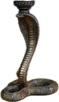 Image of Decorative Cobra Snake Candle Holder, Antique Gold Finish, Resin Material