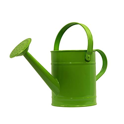 Image of Watering can | Green | holds 1.3 litre | strong metal | fixed rose