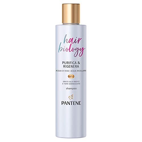 Image of Pantene Pro-V Professional Shampoo, Oily Hair Shampoo for Oily Root Hair and Damaged Fibres, Hair Biology Purifies & Regenerates, 250 ml