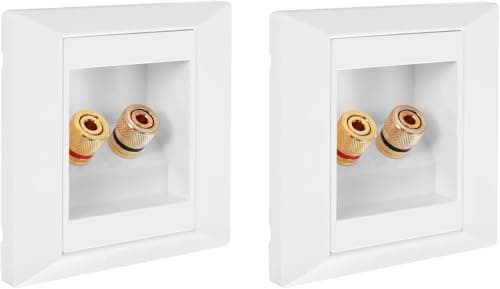 Image of Aboiledy 2 Pcs Wall Socket with 2 Jack Speaker Ports, Multimedia Speaker Boxes Wall Socket Wall Plate with Banana Plug Sockets, Gold Plated Connectors, Banana Plug Speaker Wall Plate
