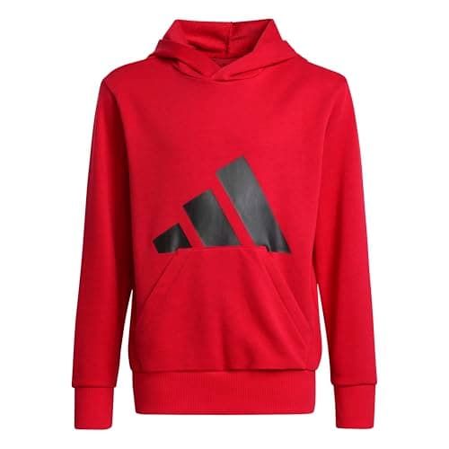 Image of adidas Unisex Kids ESSENTIALS BIG LOGO HOODIE, Pure Ruby/Black, 13-14 Years