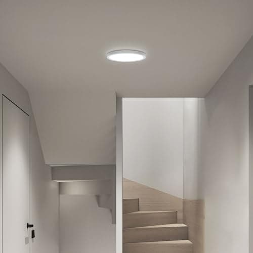 Image of Taoellen 6W LED Ceiling Light, Mini Size Flush Mount Ceiling Light, 6500K Cold White Round Ceiling Lamp for Stairwell, Porch, Walkway, Cloakroom, Balcony