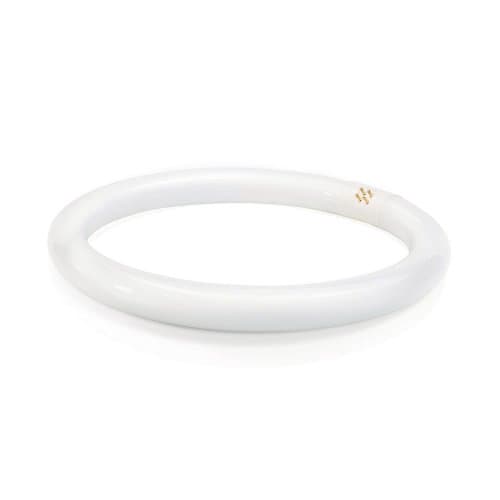 Image of Philips Circline - Fluorescent Bulbs (Circular, T9, White, Cool White)