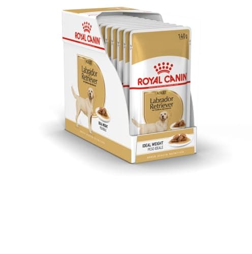 Image of Royal Canin Labrador Retriever Adult in Gravy Wet Dog Food 140g (Pack of 40)