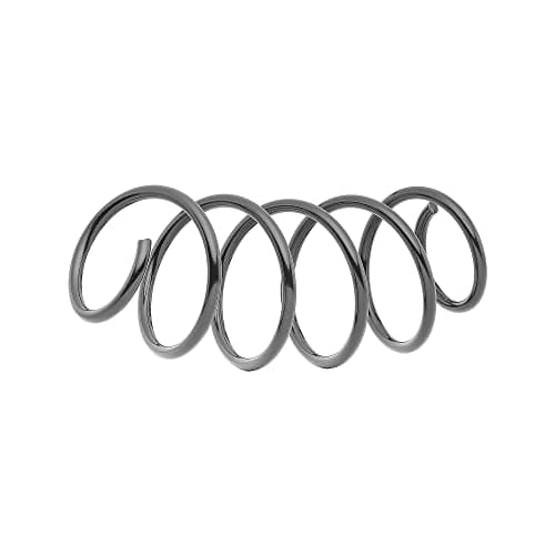 Image of KYB Front Coil Spring RA4049