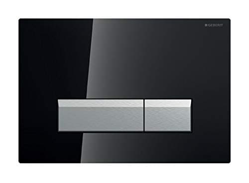 Image of GEB Sigma40 dual flush plate black glass