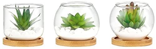 Image of Mkono Artificial Succulent in Clear Glass Pot, Set of 3 Mini Potted Fake Plants for Women Office Decor Small Faux Green Plant with BambooTray for Bookshelf Bathroom Kitchen Decor Tabletop Centerpiece