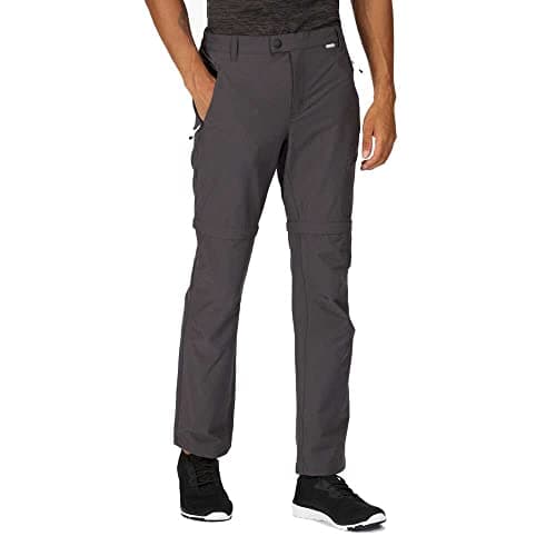 Image of Regatta Mens Highton Z O Trousers Seal Grey 34