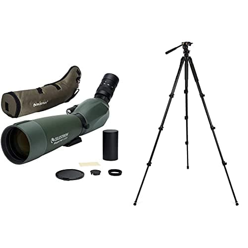 Image of Celestron 52305 Regal M2 80ED Spotting Scope & 82052 Regal Premium Tripod - Black