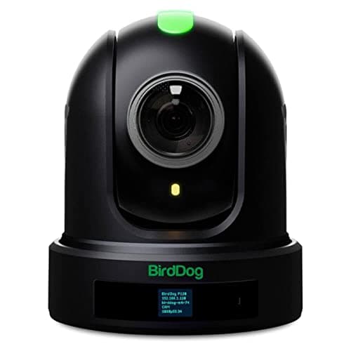 Image of BirdDog P120 NDI PTZ Camera (Black)