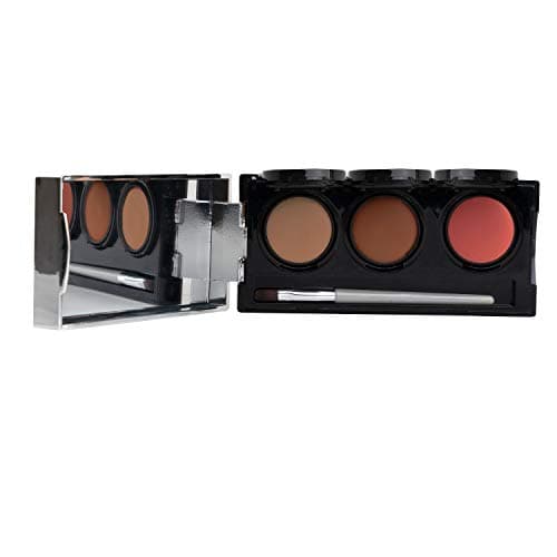 Image of Dermaflage Tattoo Cover Up Makeup (Tan) - Bruise Full Coverage Concealer - Full Coverage Waterproof Concealer for Bruise, Scars & Acne - Smudge Proof Body Makeup Palette with 3 Pro SFX Shades + Brush