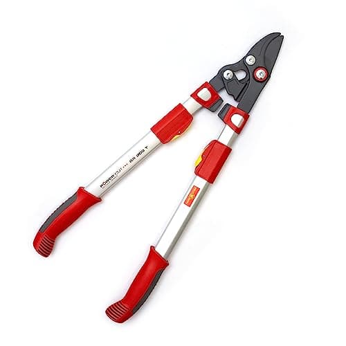 Image of WOLF-Garten Power Cut Telescoping Bypass Lopper RR900T