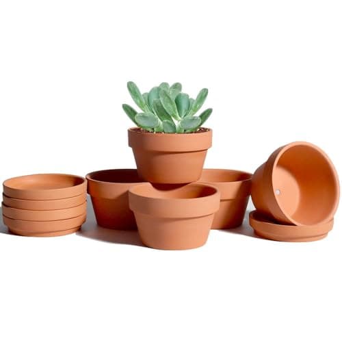 Image of 9.4 CM Terracotta Shallow Succulent Pot - 6 Pack Terra Cotta Clay Pots with Saucer, Cacuts Terra-Cotta Indoor and Outdoor Planters with Drainage Hole