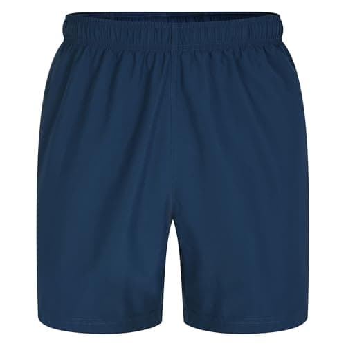 Image of Dare 2b Men's Surrect Lightweight Shorts Blue