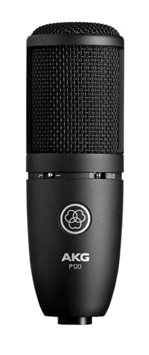 Image of AKG P120 High Performance General Purpose Recording Microphone, Studio Quality, Large Diaphragm, Highly Versatile, Rugged and Robust Design - Black