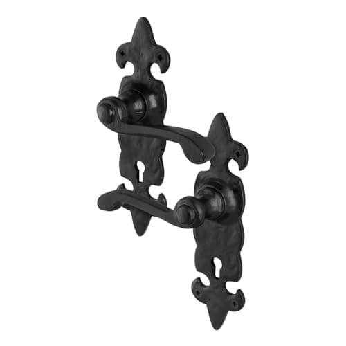 Image of EAI Fleur De LYS Black Antique Door Handles Key Lock, 1 Pair of Cast Iron Internal and External Door Handles on Backplate