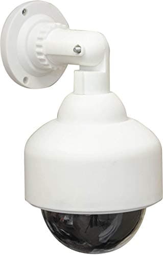 Image of Eagle Dummy Dome Surveillance Camera