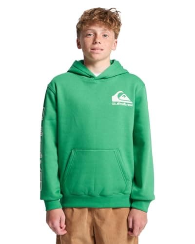 Image of Quiksilver Boys Omni Logo Hoodie Youth Pullover Sweater, Leprechaun, 14 Years EU